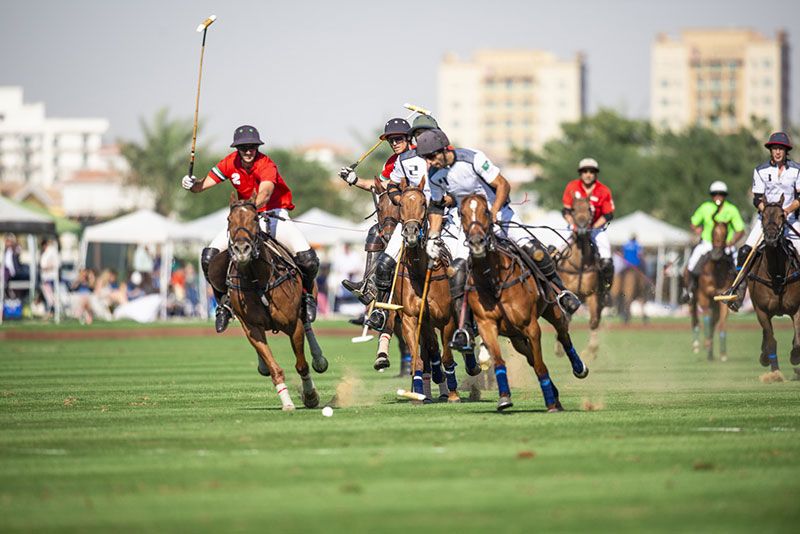 Al Habtoor Polo Resort & Club