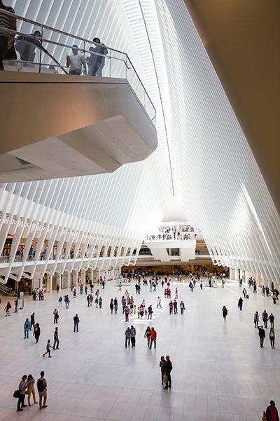 The Oculus