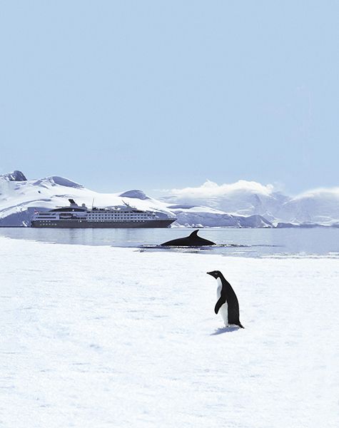 القارة القطبية الجنوبية على متن سفينة لو بوريال