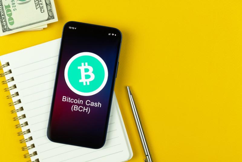 عملة Bitcoin Cash (BCH)