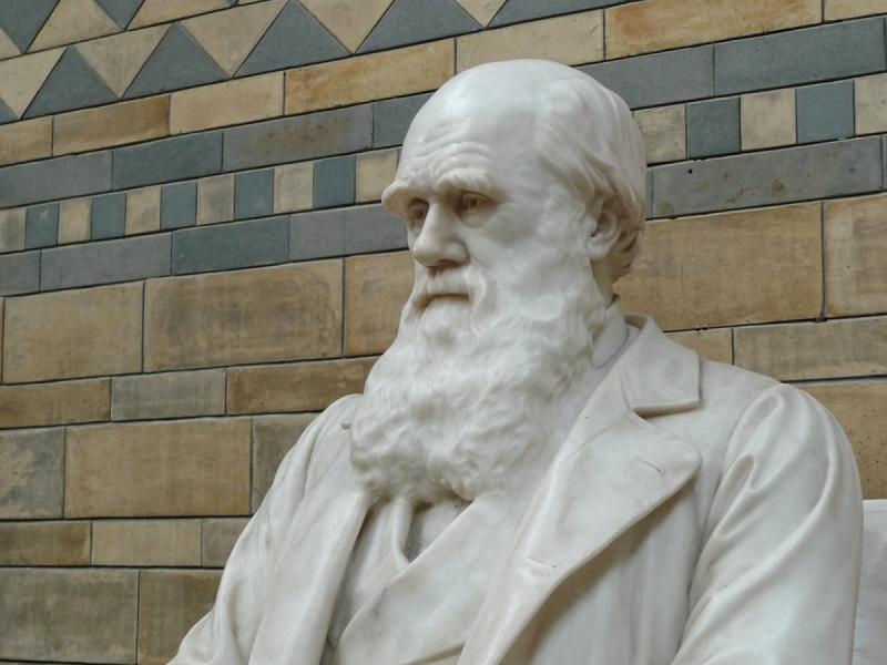 تشارلز داروين 