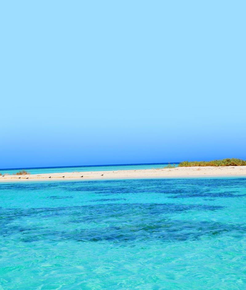 جزر أملج تستلب الأفئدة إلى سكينة طبيعتها، وشواطئها الرملية البيضاء، ومياهها الفيروزية البكر.