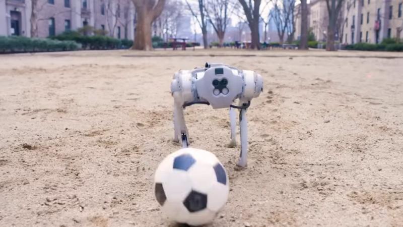 هل نرى بطولة كأس عالم للروبوتات قريبًا؟..الجواب عند دريبل بوت
