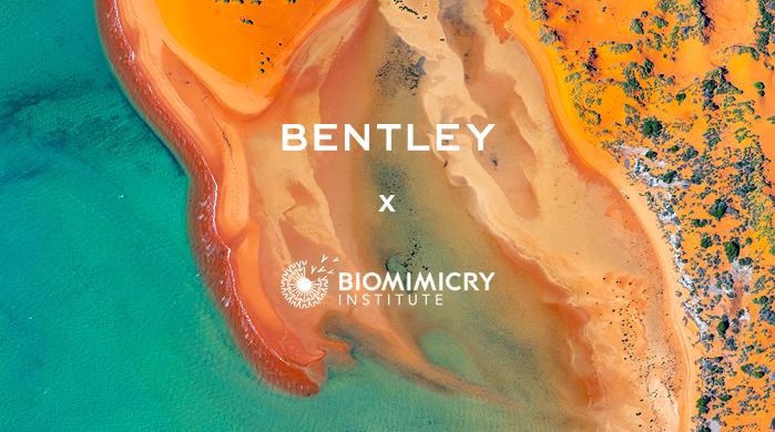 مؤسسة The Biomimicry  