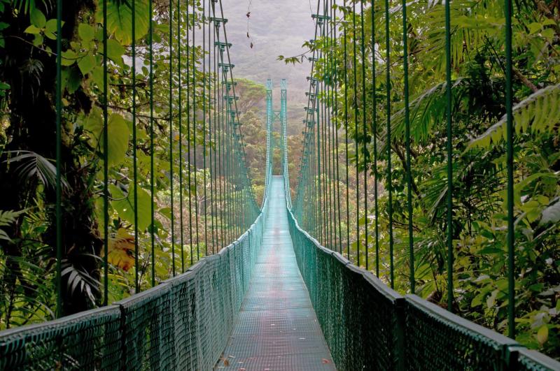 اختبروا المشي فوق الجسور المعلّقة أعلى الأشجار في غابة مونتيفردي الضبابية في بونتاريناس.