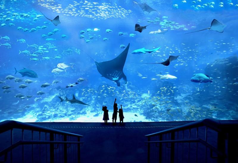 تصوّر فني داخلي لـSingapore Oceanarium، يُبرز روعة التجربة المائية/ أوشيناريوم سنغافورة