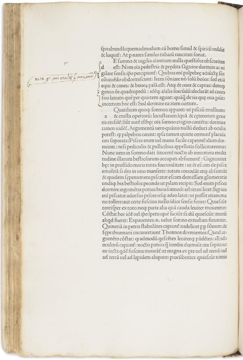 مخطوطات ما قبل 1501