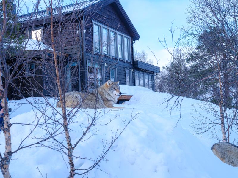 رحلة إلى قلب الطبيعة القطبية رحلة إلى قلب الطبيعة القطبية