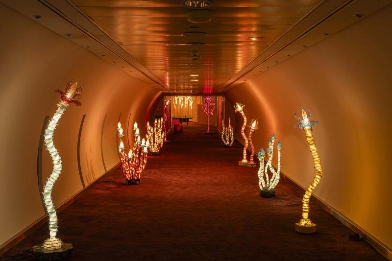 مهّد ممر مضاء بتراكيب الإضاءة التي تحمل توقيع كريستيان بيليتزاري الأجواء العامة للعرض الذي يحمل توقيع صالة نيلوفار.