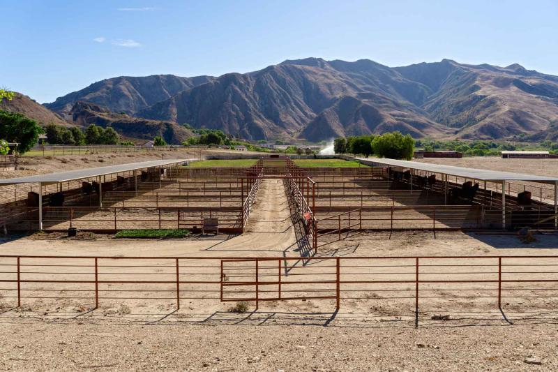 رانشو تيميسكال.. مزرعة تاريخية من القرن التاسع عشر تُطرح للبيع مقابل 44 مليون دولار