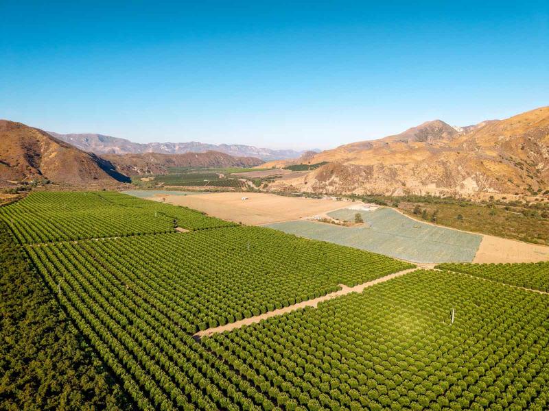 رانشو تيميسكال.. مزرعة تاريخية من القرن التاسع عشر تُطرح للبيع مقابل 44 مليون دولار