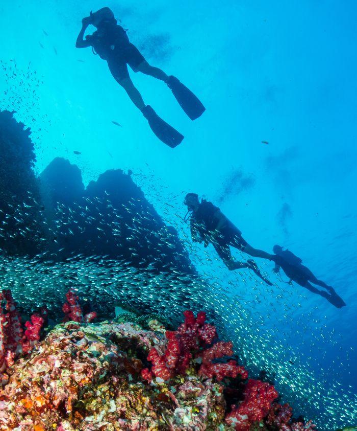 رحلة البحث عن موريباس.. أوشن إكس تطلق تجربة فاخرة للغوص وراء كنز تاريخي