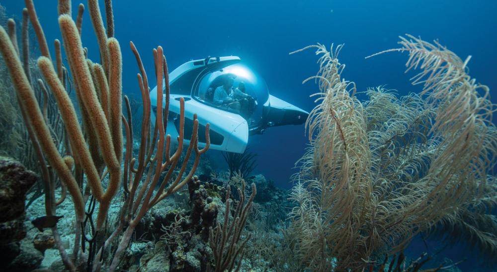 U-Boat Worx Nemo تحيط بالغوّاصة كرة ضخمة من الأكريليك تتيح لك إطلالة شاملة على محيطك.