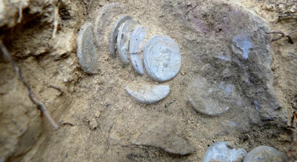 اكتشاف مجموعة من العملات المعدنية التي يعود تاريخها إلى 2000 عام في غابة إيطالية