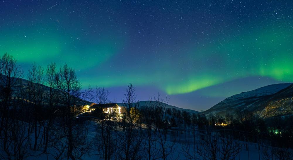 Untold Story Travel تطلق تجربة الذئاب والحيتان والشفق القطبي في شمال النرويج